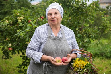 Photo of Senior woman with apples and wildflowers outdoors