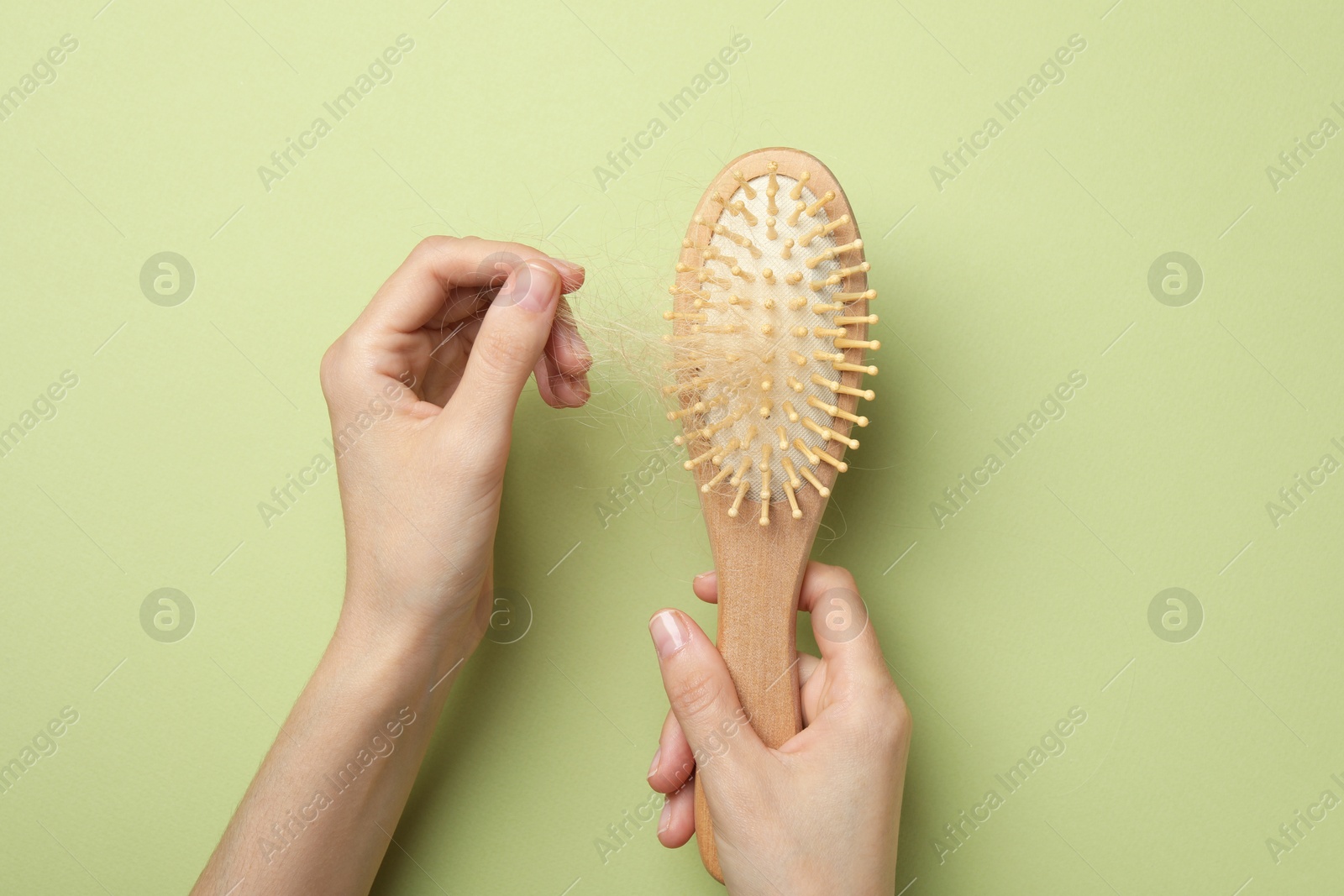 Photo of Woman taking her lost hair from brush on light olive background, top view. Alopecia problem