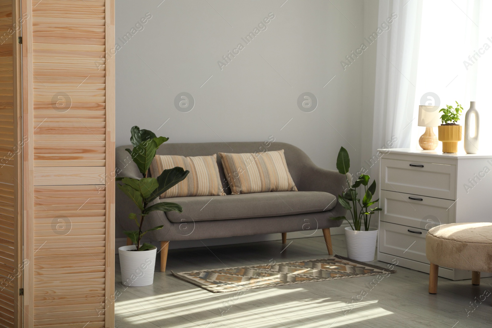 Photo of Wooden folding screen, sofa and houseplants in living room