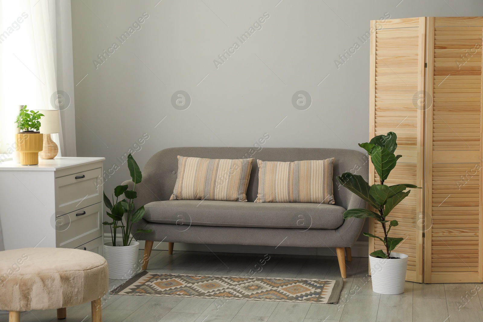 Photo of Wooden folding screen, sofa and houseplants in living room