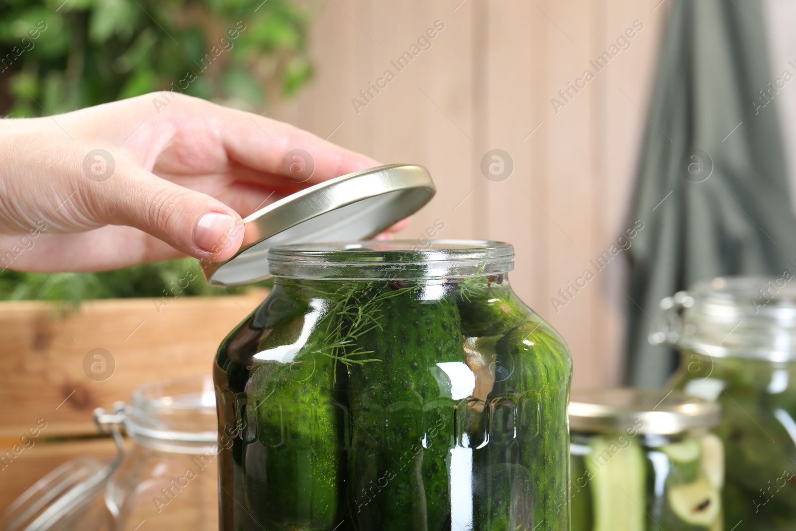 Photo of Woman making pickled cucumbers at table, closeup