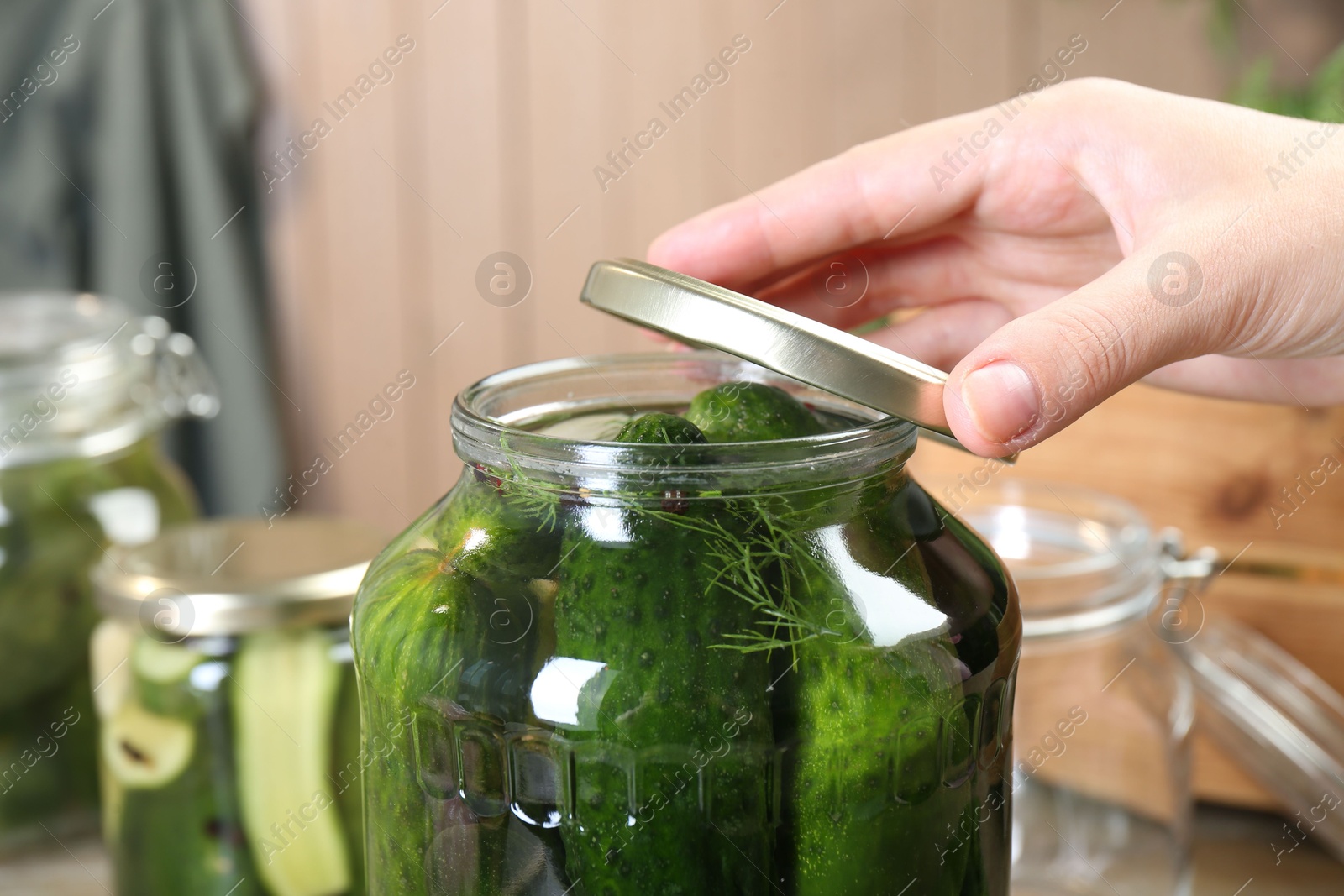 Photo of Woman making pickled cucumbers at table, closeup