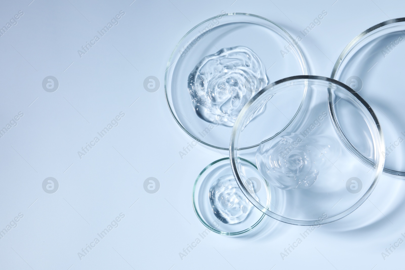 Photo of Petri dishes with samples on light blue background