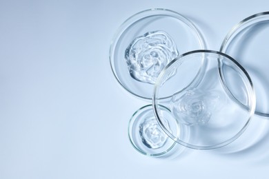 Photo of Petri dishes with samples on light blue background