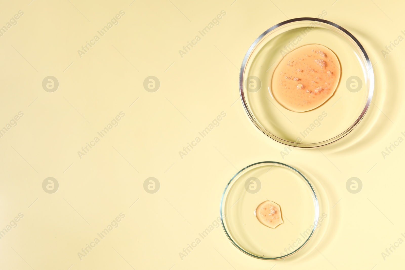 Photo of Petri dishes with samples on beige background, top view. Space for text