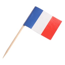 Photo of Small paper flag of France isolated on white