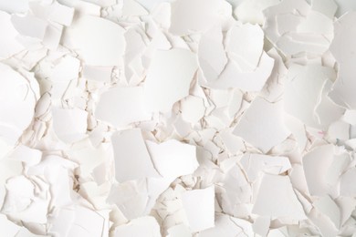 Photo of Pieces of broken eggshells as background, top view