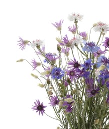 Bouquet of beautiful wildflowers isolated on white