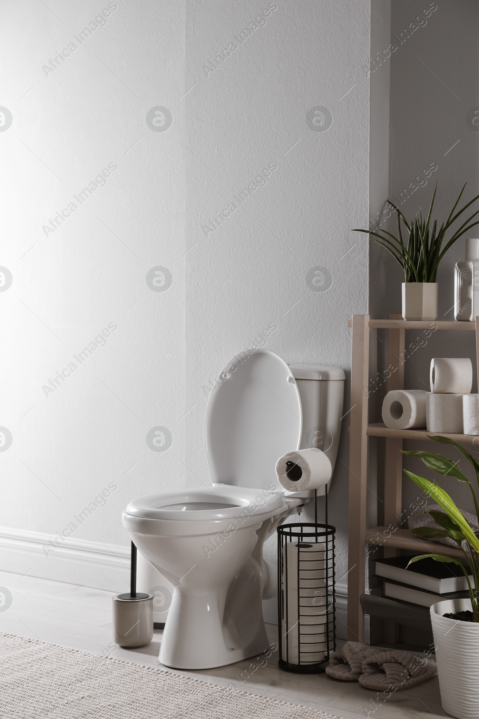 Photo of White toilet bowl, paper rolls and houseplants in bathroom, space for text