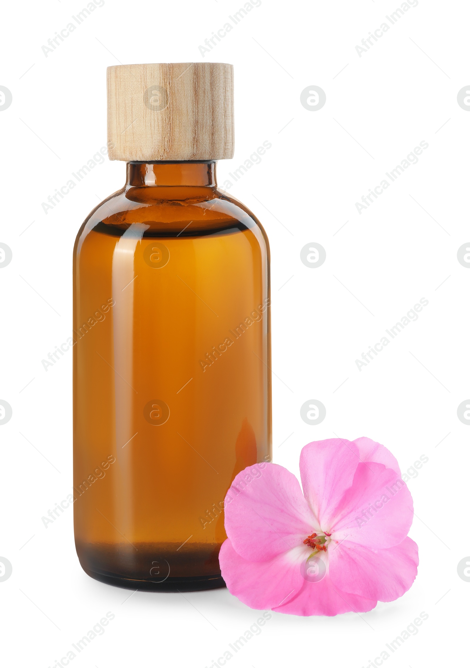 Photo of Geranium essential oil in bottle and beautiful flower isolated on white