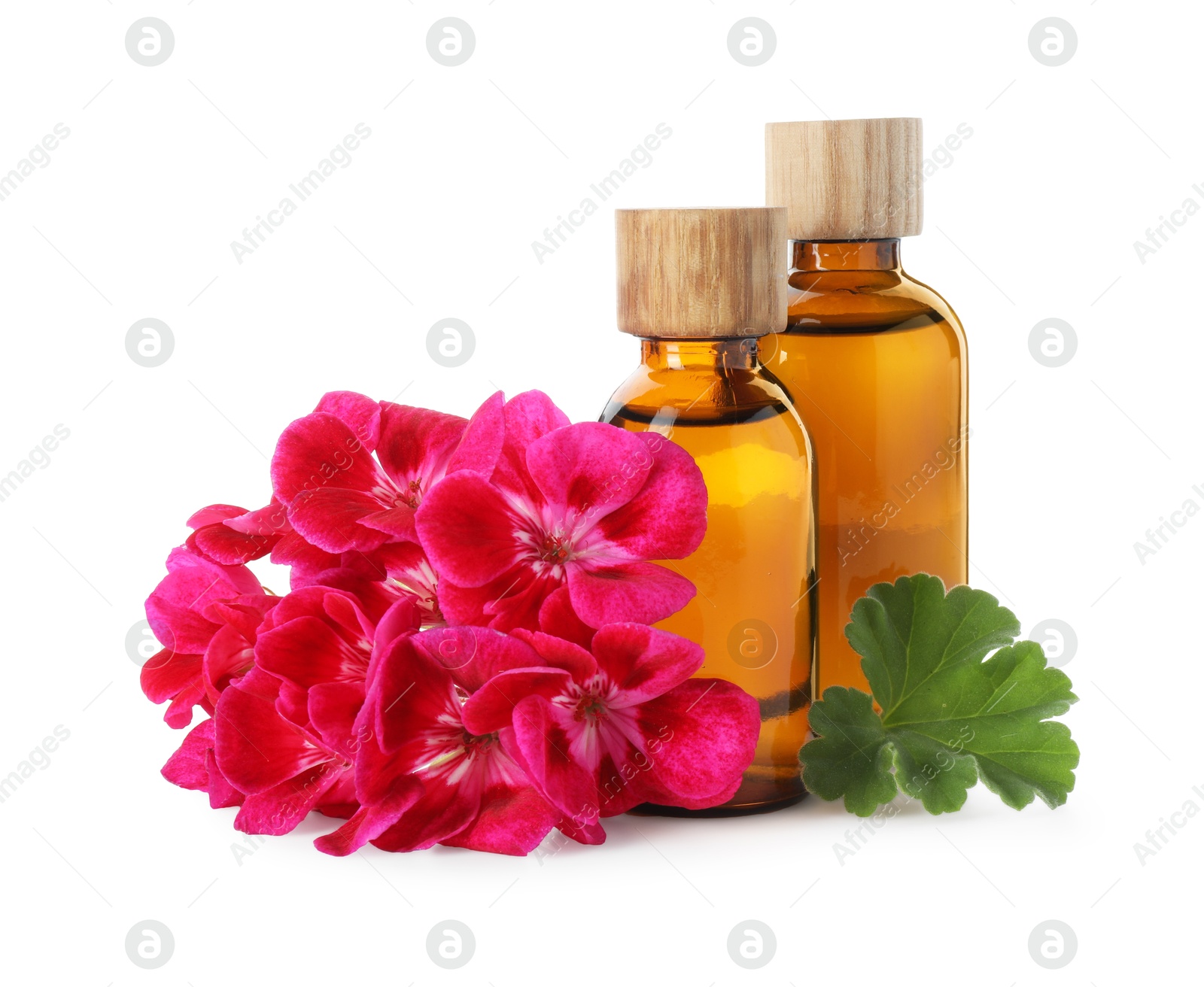 Photo of Geranium essential oil in bottles and beautiful flowers isolated on white