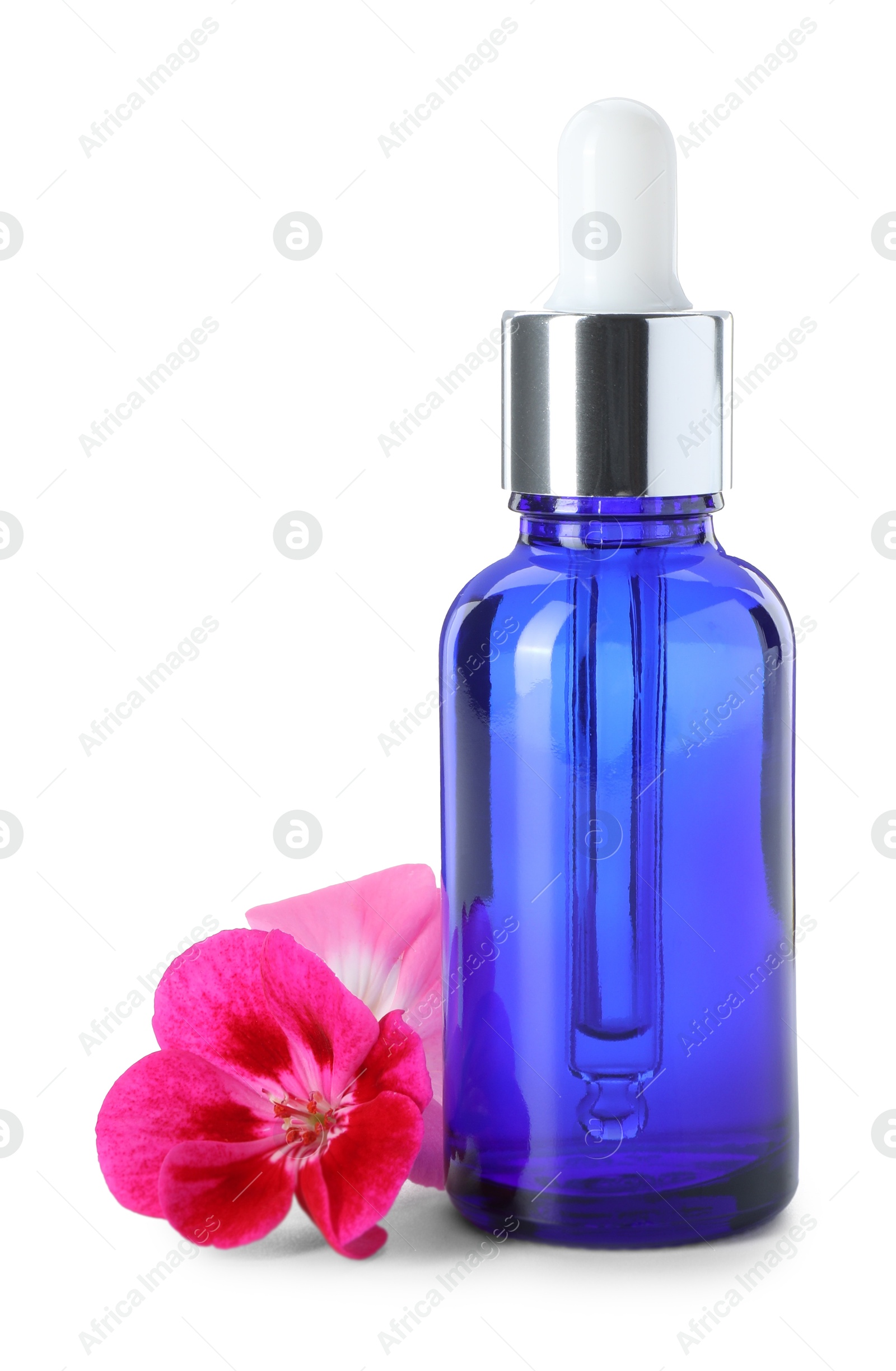 Photo of Geranium essential oil in bottle and beautiful flowers isolated on white