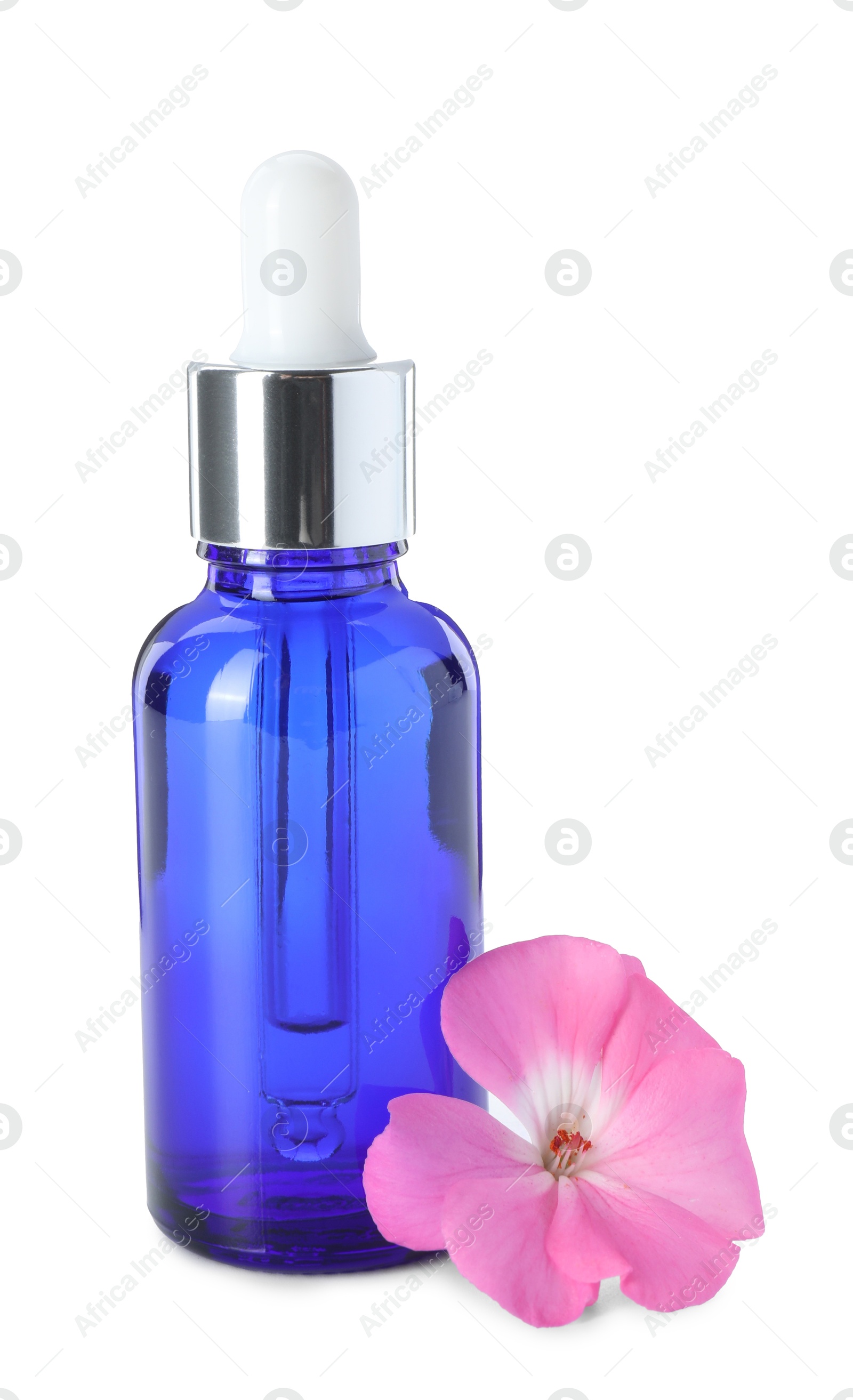 Photo of Geranium essential oil in bottle and beautiful flower isolated on white