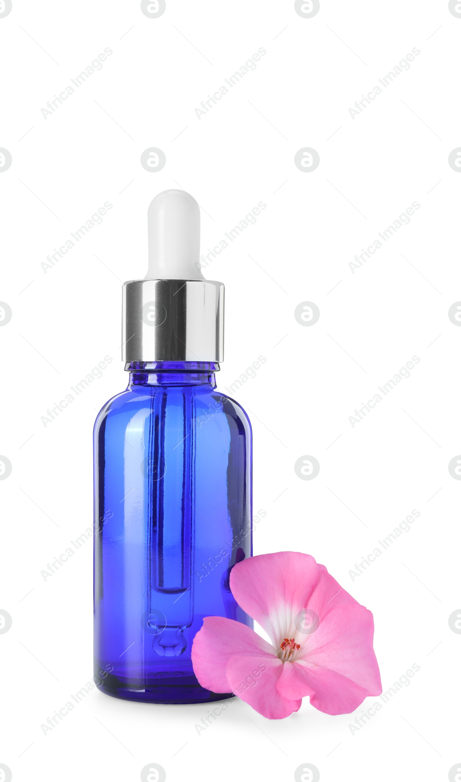 Photo of Geranium essential oil in bottle and beautiful flower isolated on white