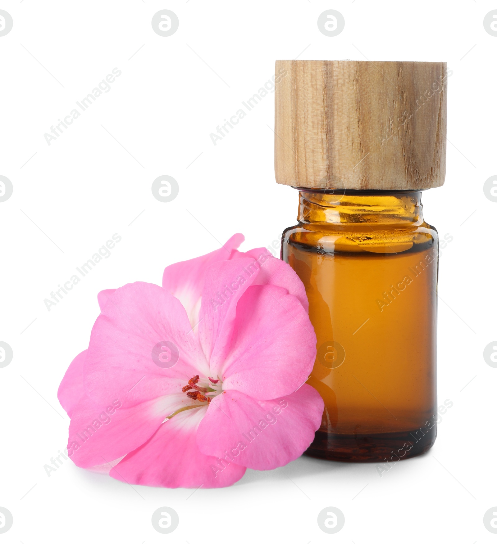 Photo of Geranium essential oil in bottle and beautiful flower isolated on white