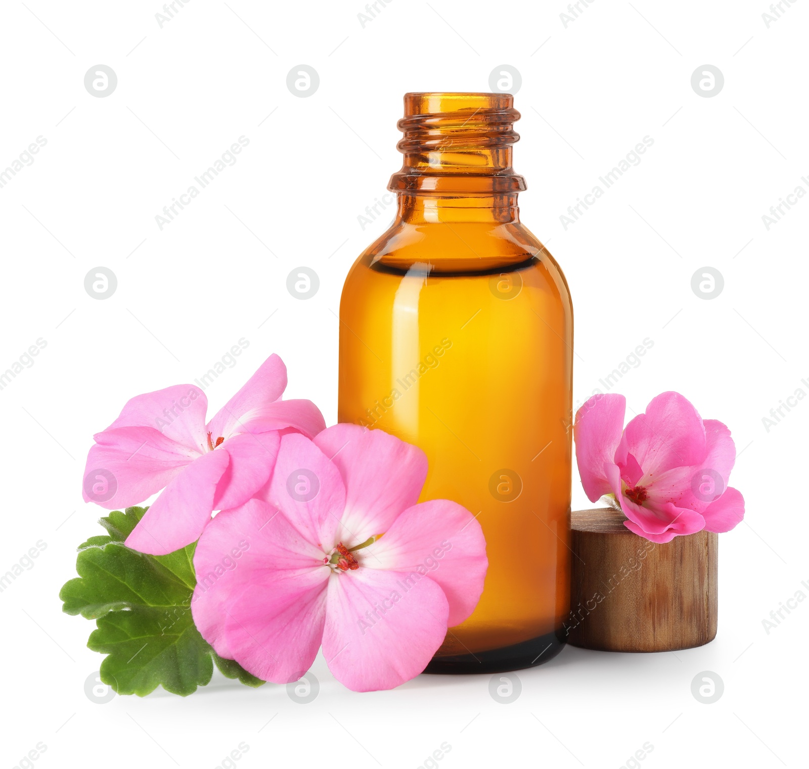 Photo of Geranium essential oil in bottle and beautiful flowers isolated on white