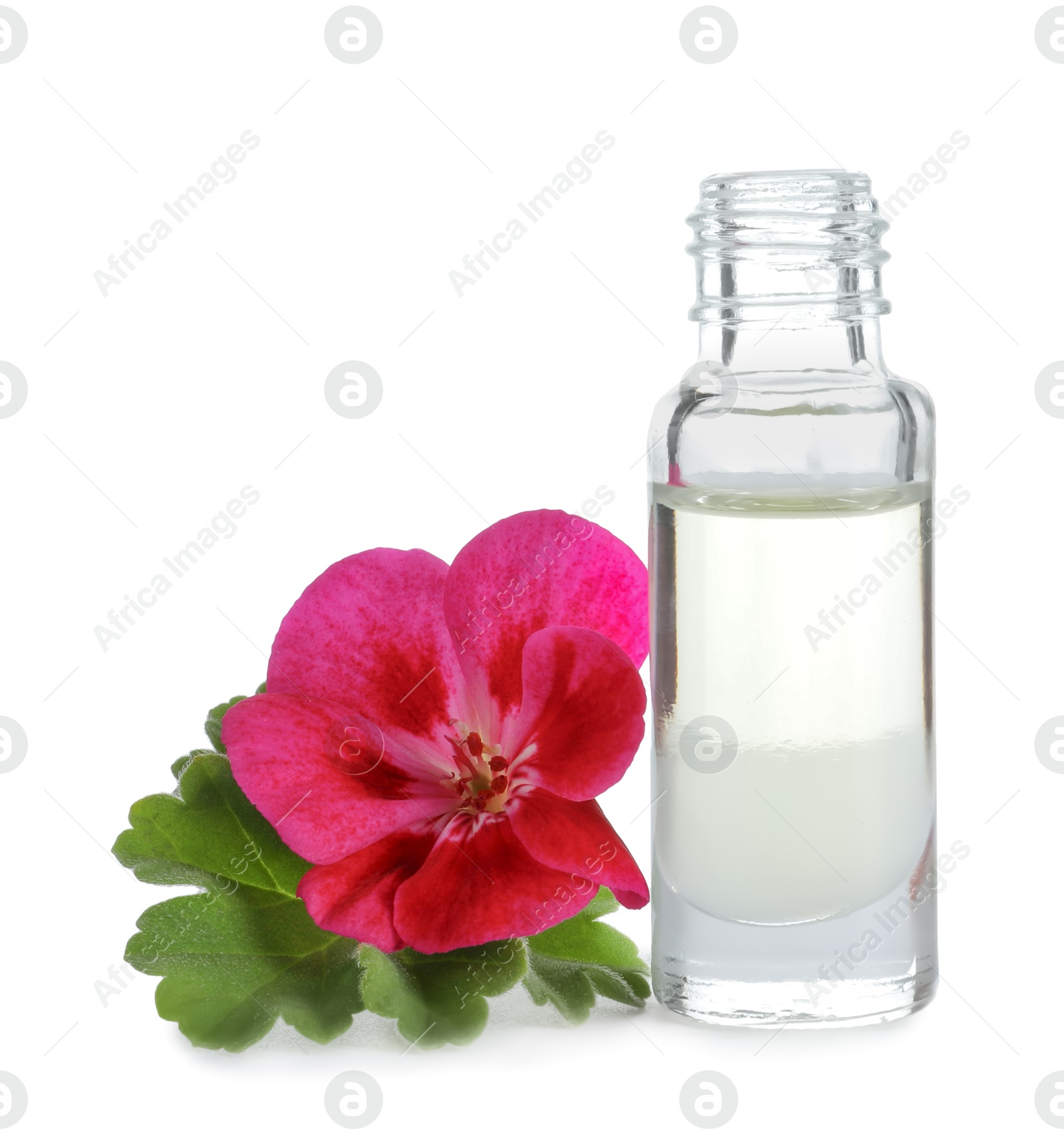 Photo of Geranium essential oil in bottle and beautiful flower isolated on white