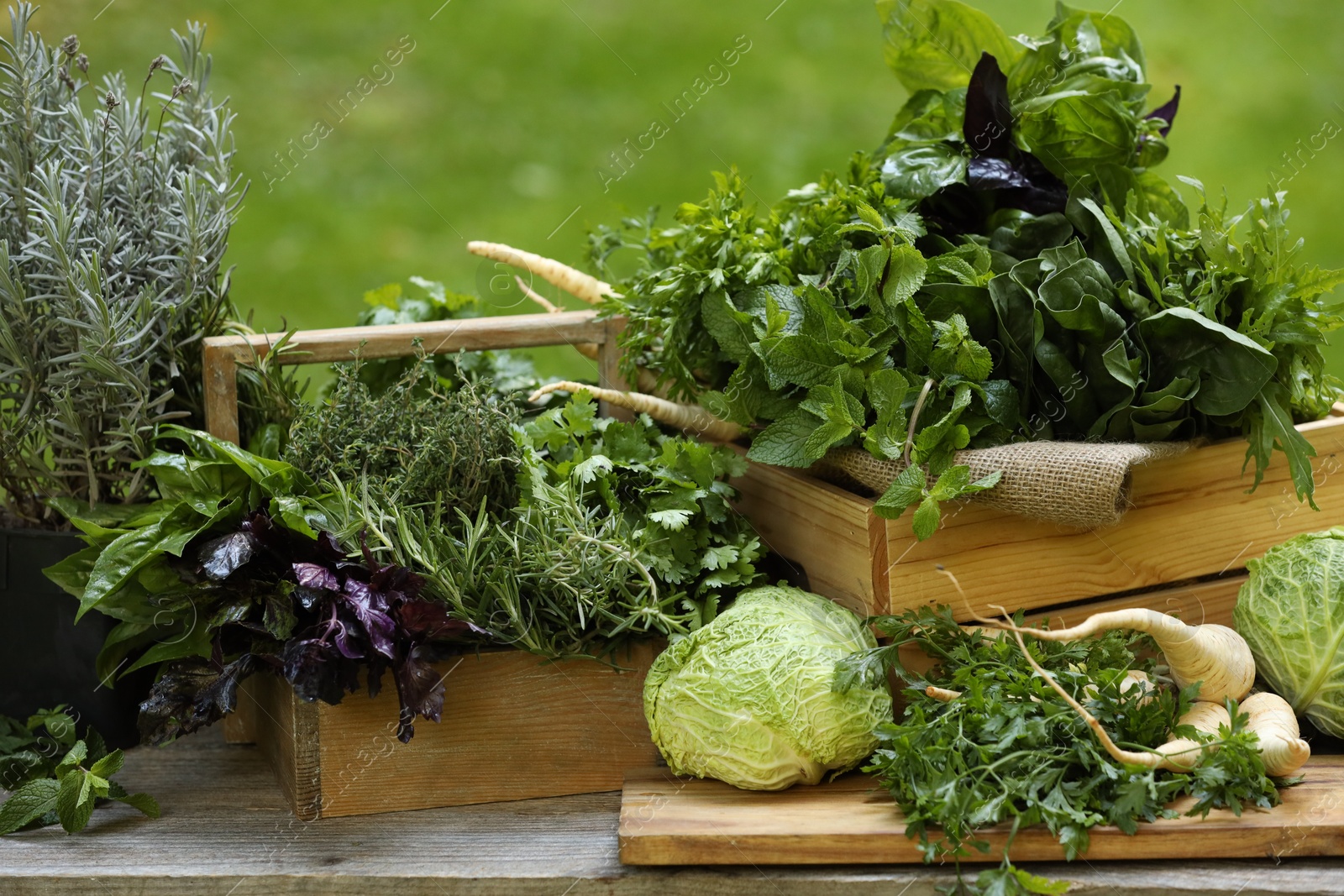 Photo of Different fresh herbs and vegetables on wooden table outdoors