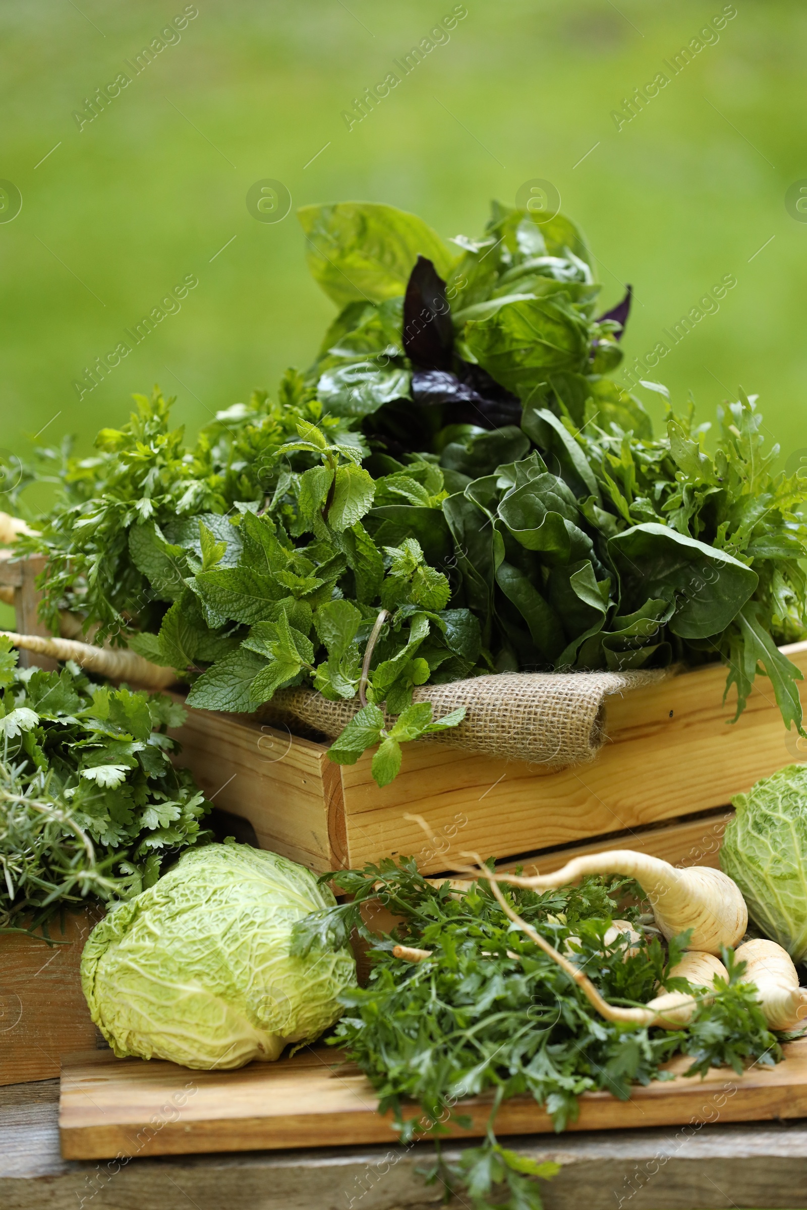 Photo of Different fresh herbs and vegetables on wooden table outdoors