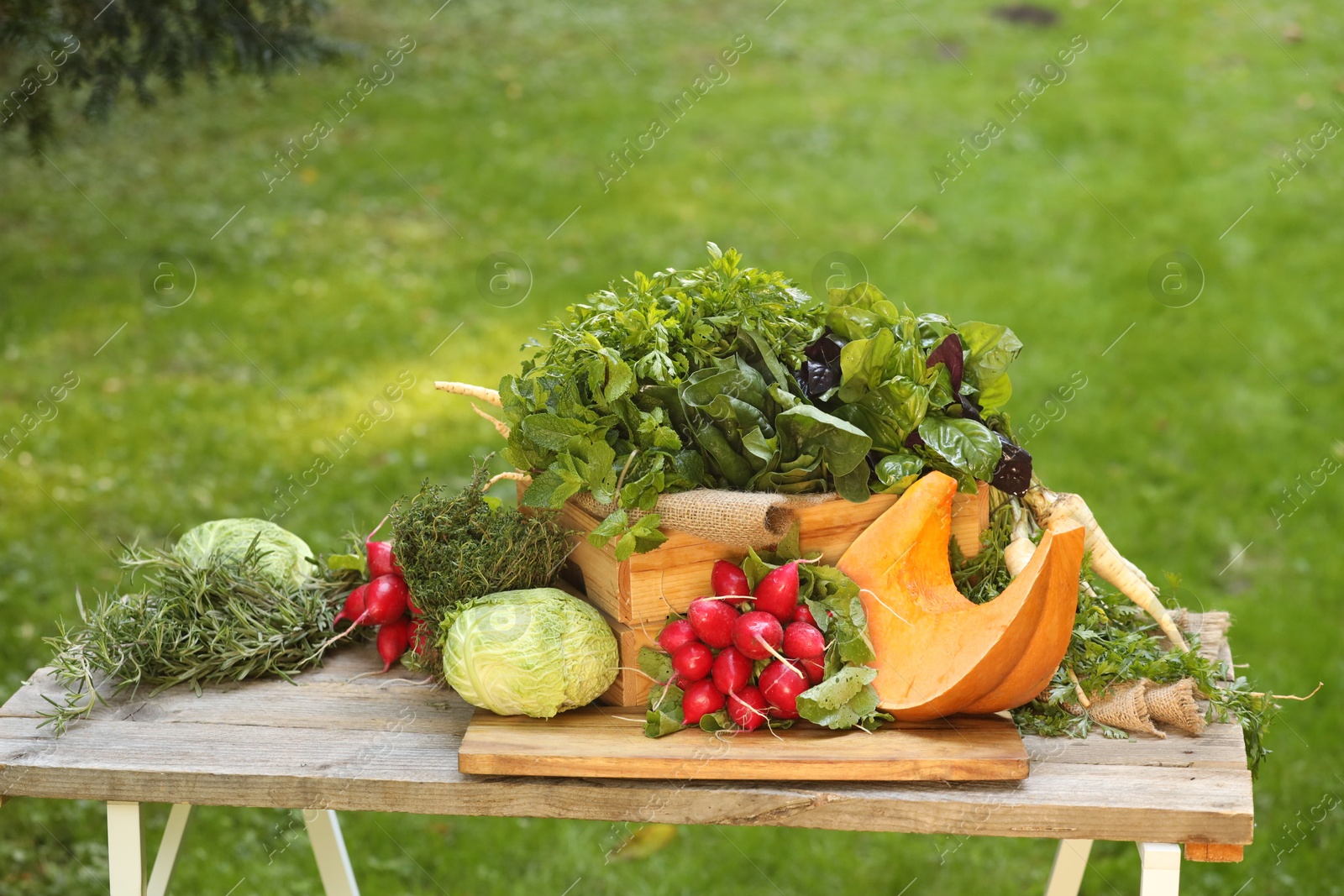 Photo of Different fresh herbs and vegetables on wooden table outdoors