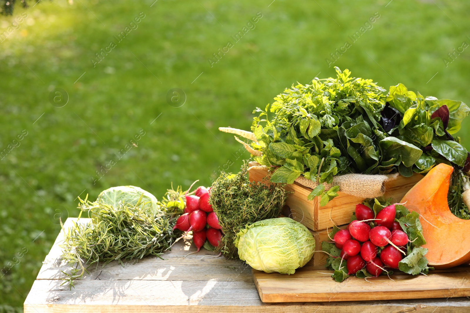 Photo of Different fresh herbs and vegetables on wooden table outdoors, space for text