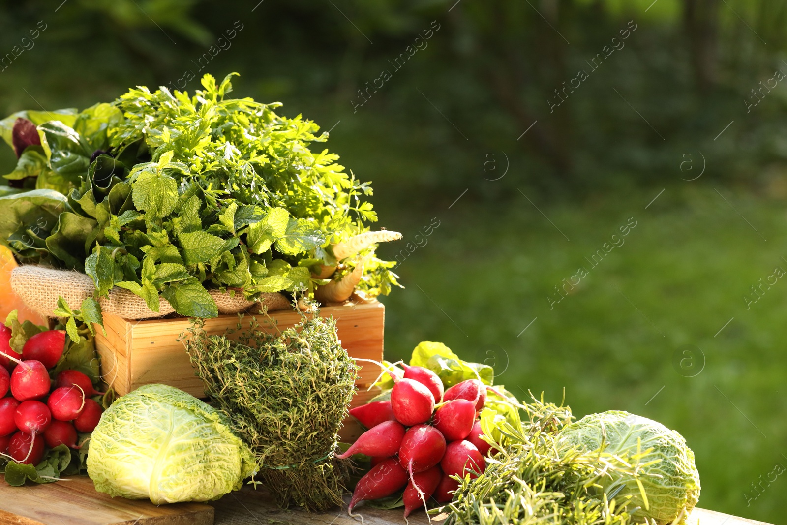 Photo of Different fresh herbs and vegetables on wooden table outdoors, space for text