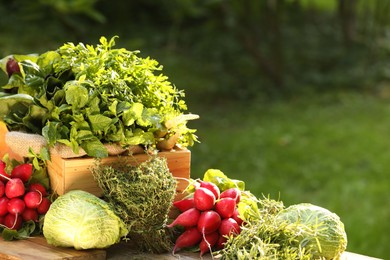 Photo of Different fresh herbs and vegetables on wooden table outdoors, space for text