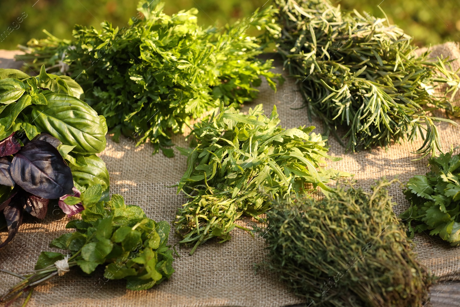 Photo of Different fresh herbs on table outdoors, closeup