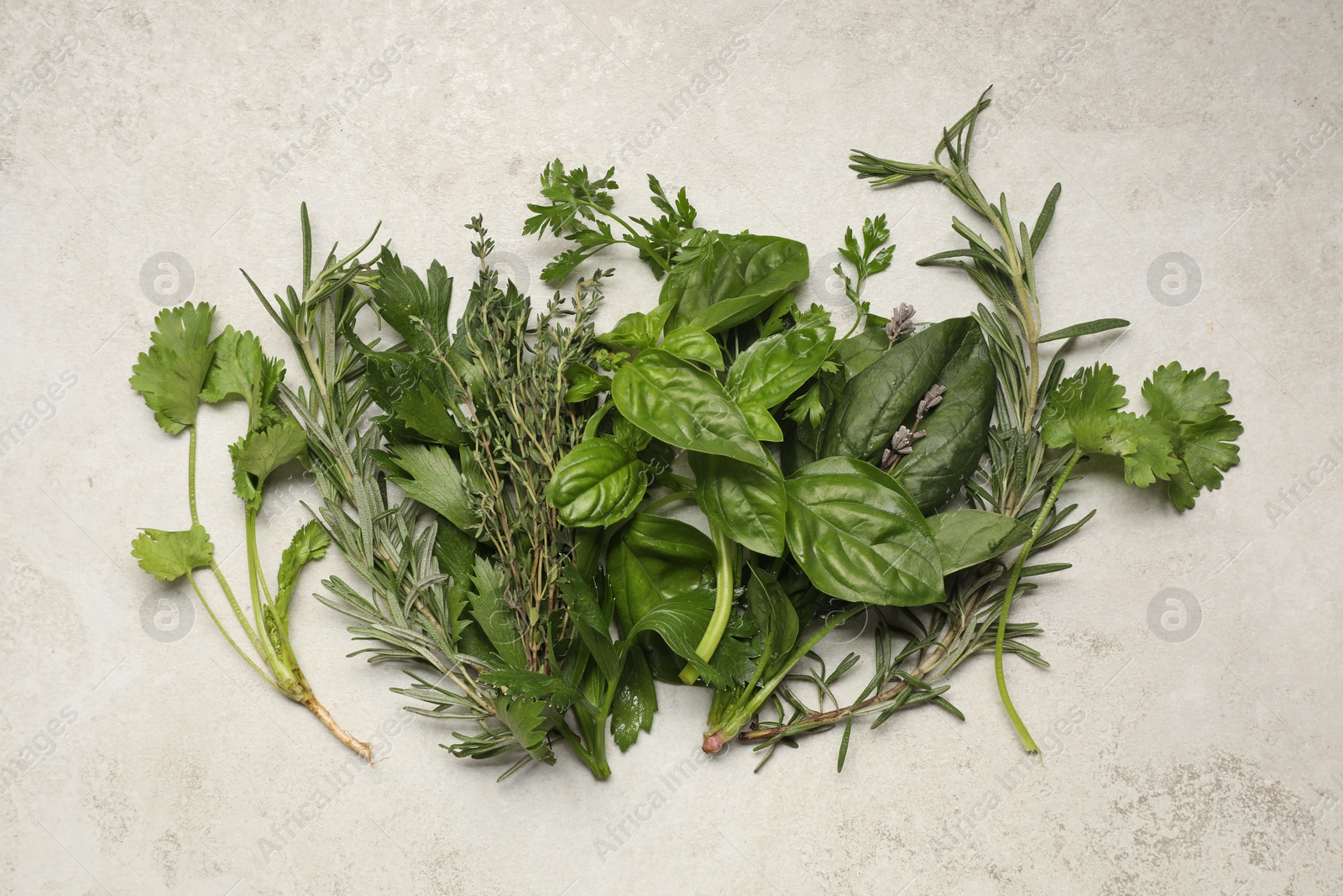 Photo of Different fresh herbs on light textured table, flat lay