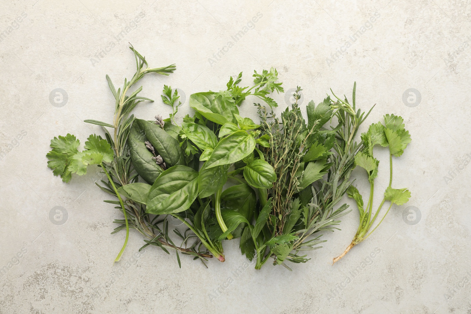 Photo of Different fresh herbs on light textured table, flat lay