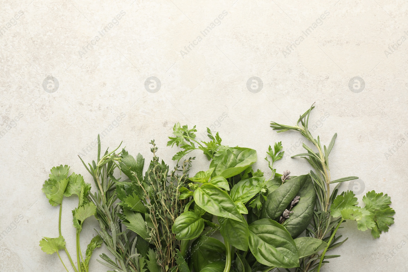 Photo of Different fresh herbs on light textured table, flat lay. Space for text