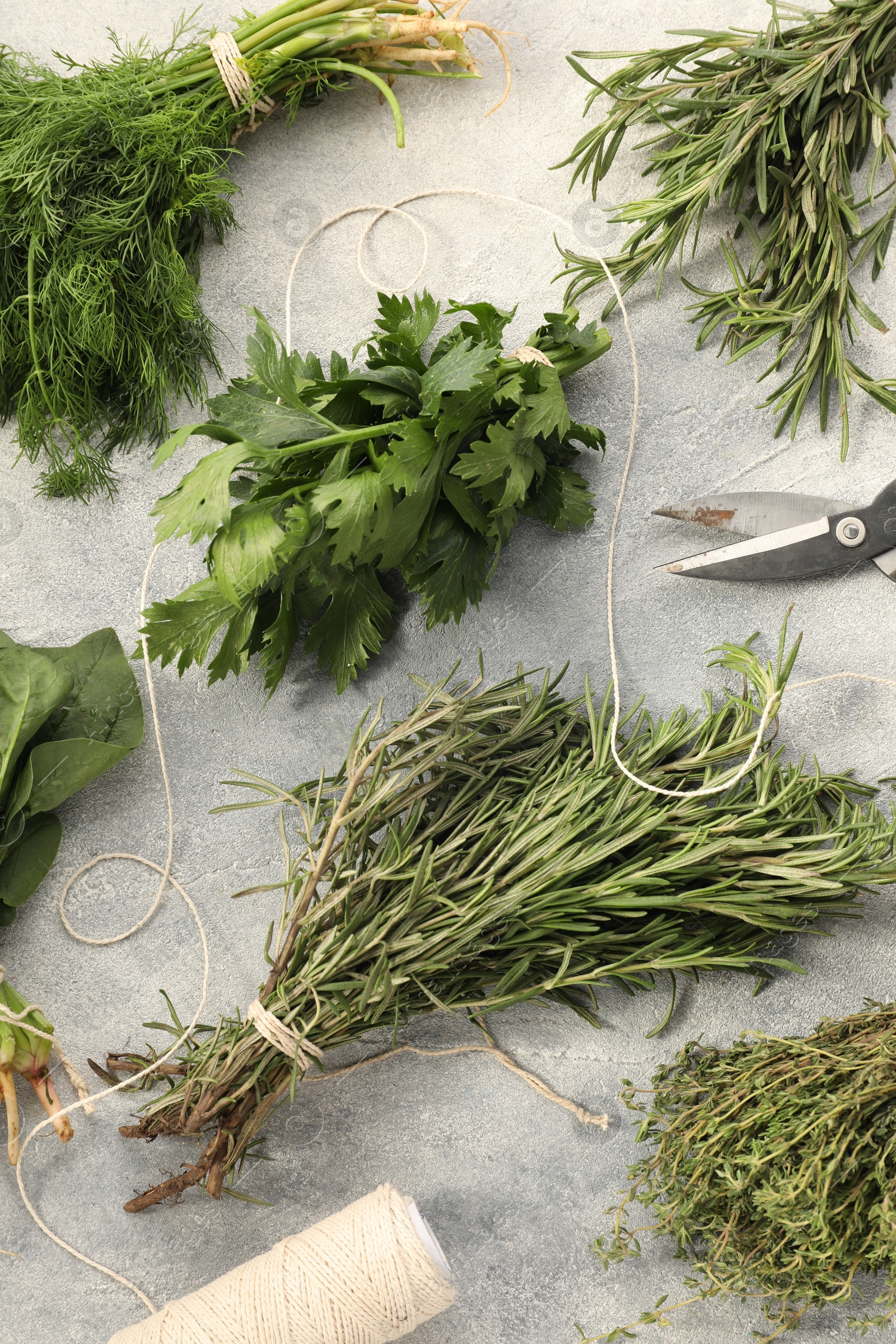 Photo of Bunches of different fresh herbs, thread and scissors on light grey textured table, flat lay