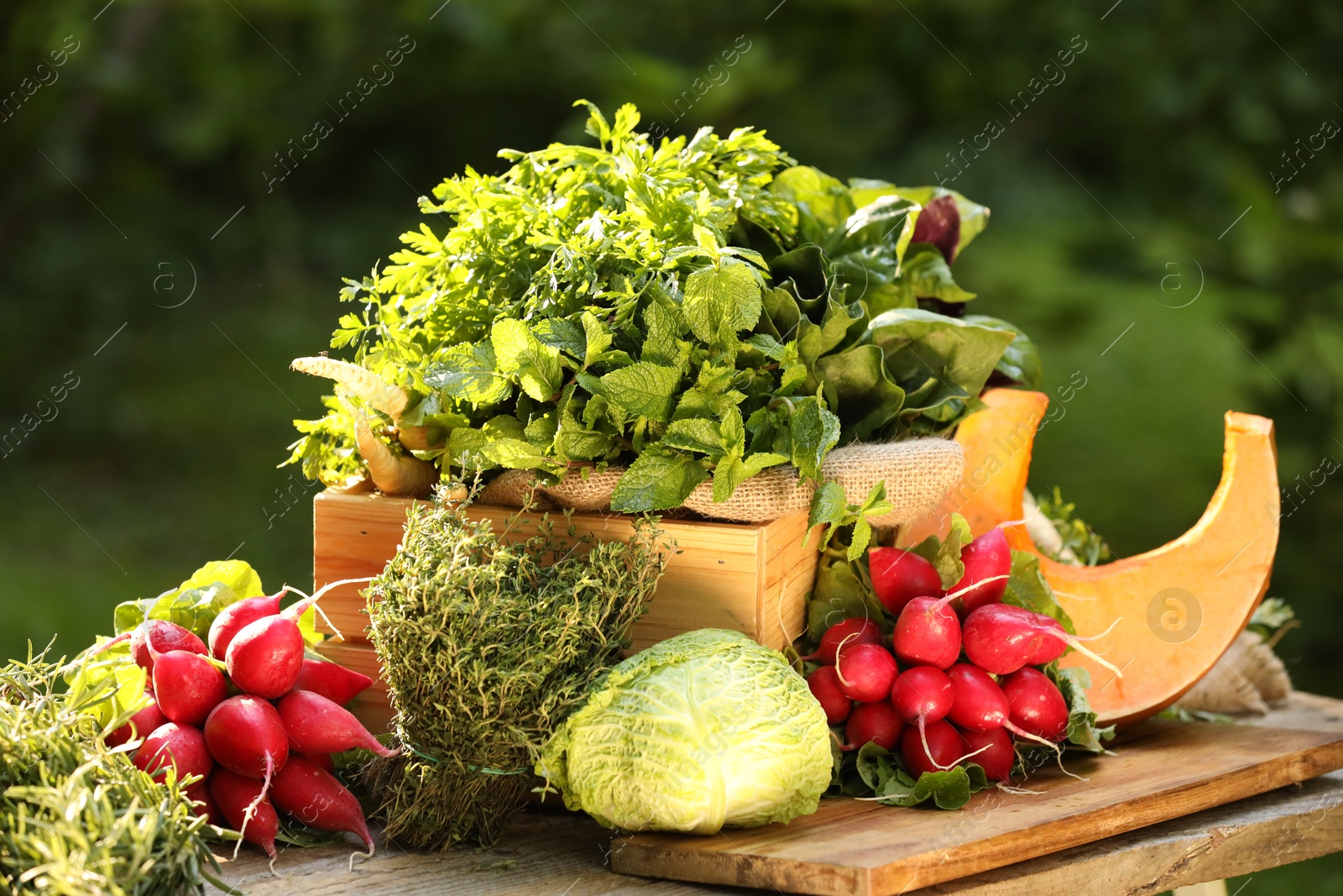 Photo of Different fresh herbs and vegetables on wooden table outdoors