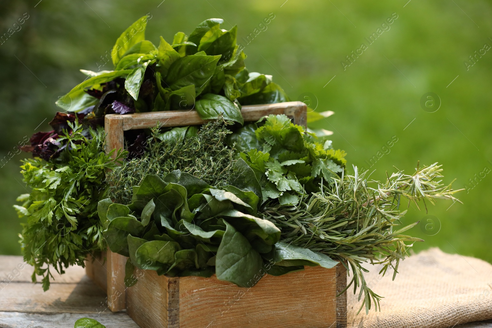 Photo of Different fresh herbs in basket on wooden table outdoors