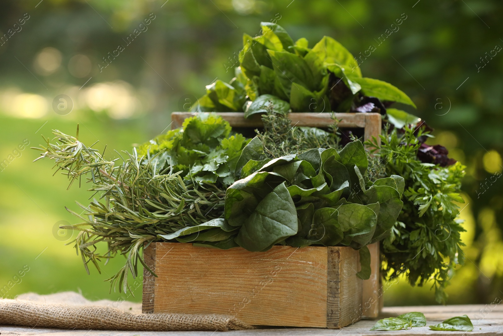 Photo of Different fresh herbs in basket on wooden table outdoors