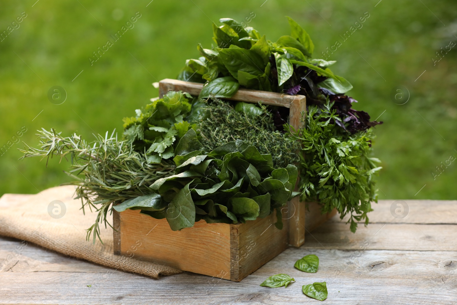 Photo of Different fresh herbs in basket on wooden table outdoors