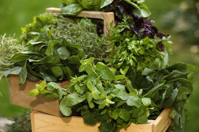 Photo of Different fresh herbs in baskets outdoors, closeup