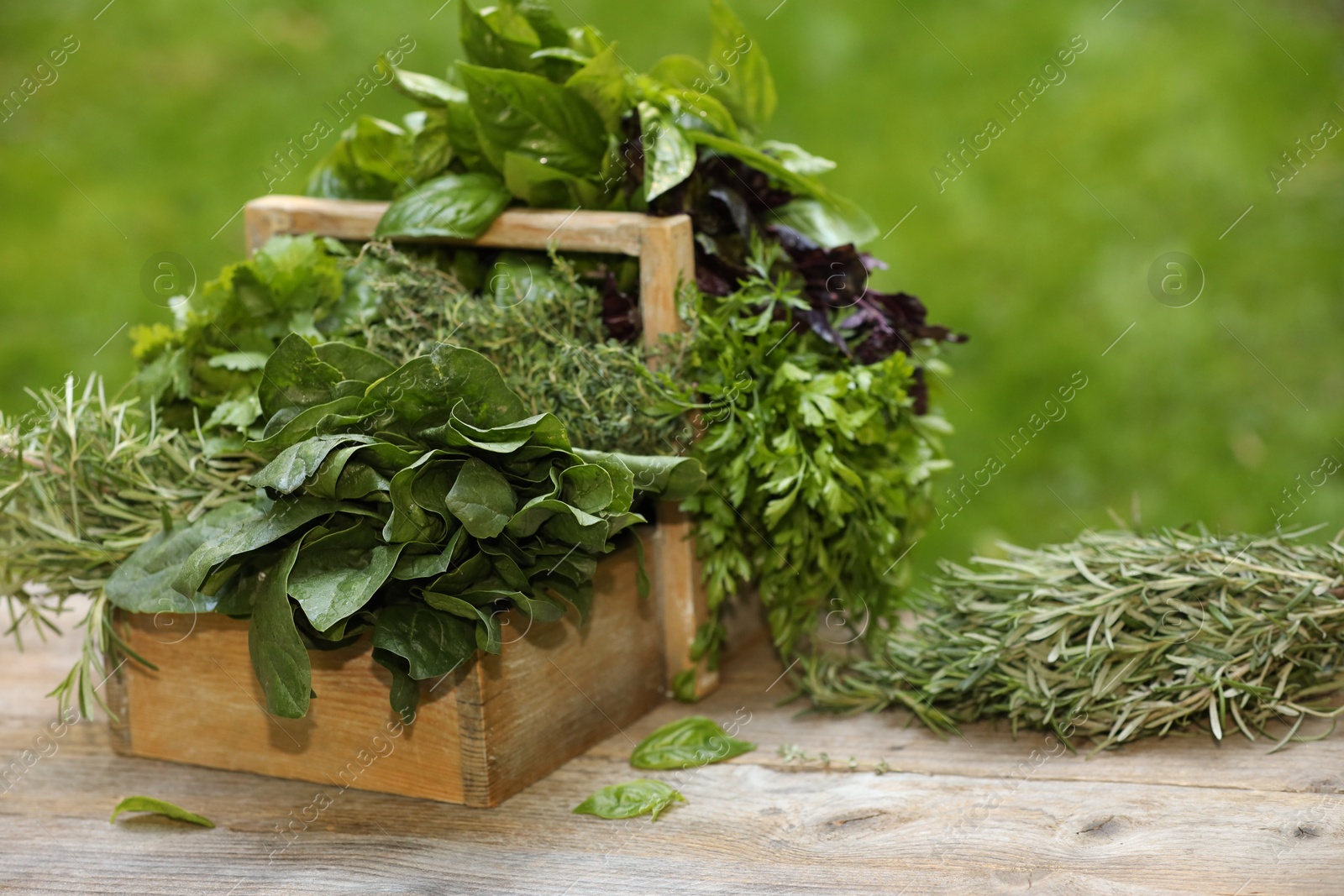 Photo of Different fresh herbs in basket on wooden table outdoors