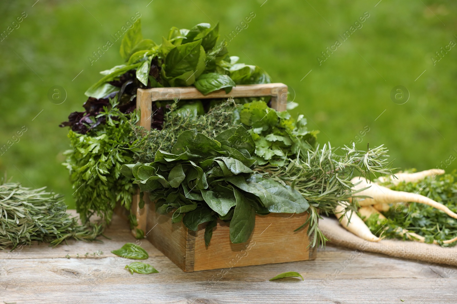 Photo of Different fresh herbs in basket on wooden table outdoors