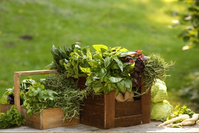 Photo of Different fresh herbs and vegetables on wooden table outdoors