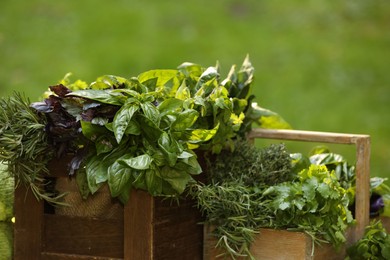 Photo of Different fresh herbs in baskets outdoors, closeup