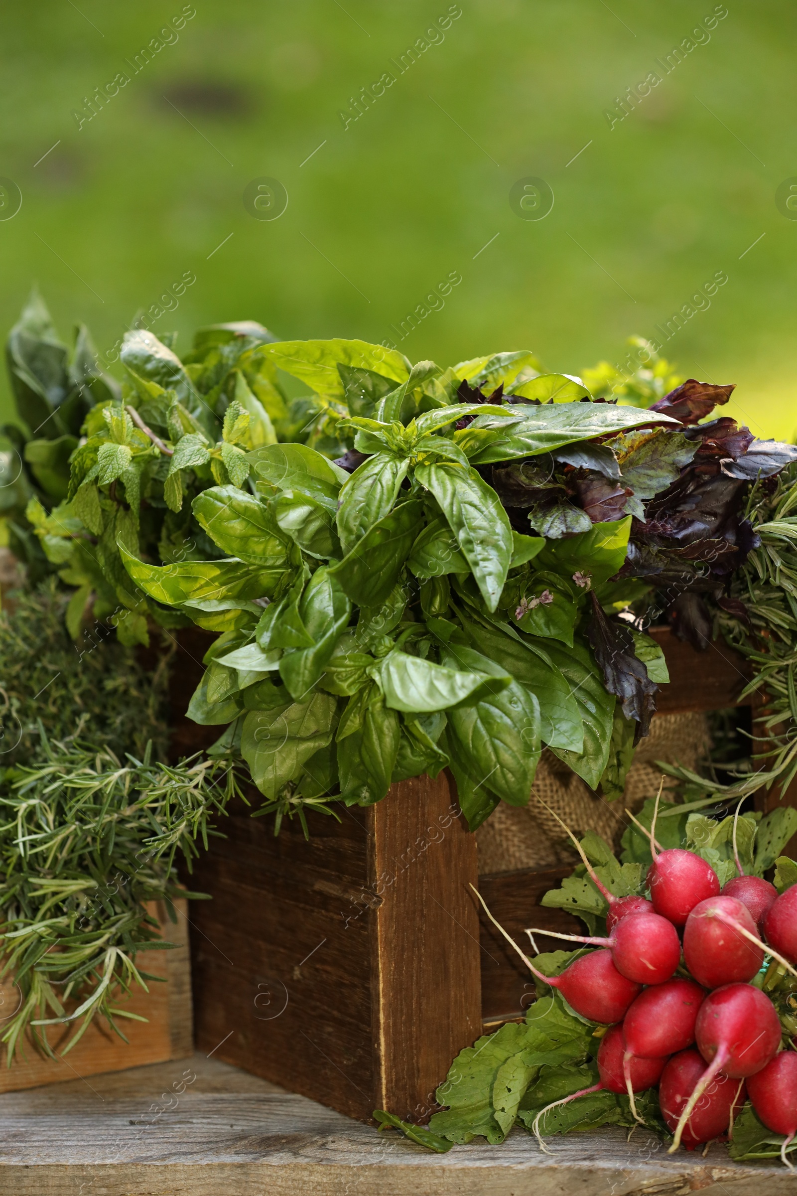 Photo of Different fresh herbs and vegetables on wooden table outdoors, closeup