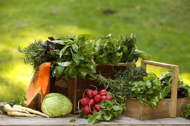 Photo of Different fresh herbs and vegetables on wooden table outdoors