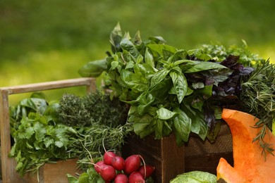 Photo of Different fresh herbs and vegetables in baskets outdoors, closeup