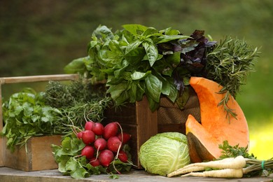 Photo of Different fresh herbs and vegetables on wooden table outdoors