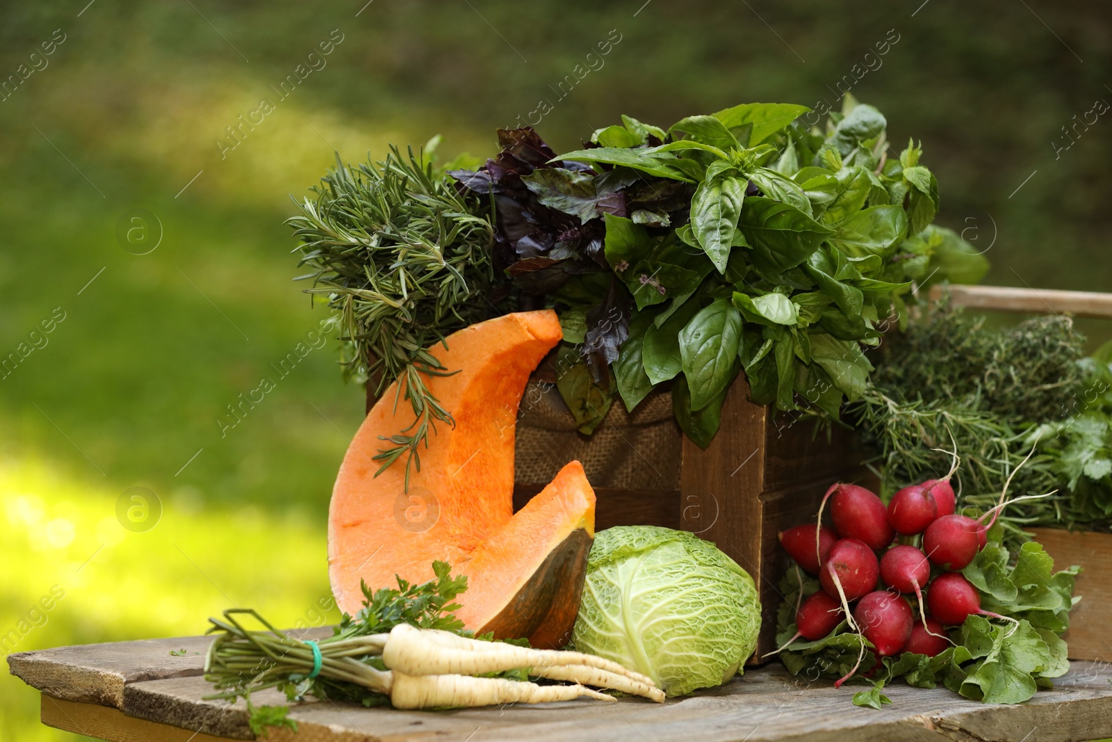 Photo of Different fresh herbs and vegetables on wooden table outdoors