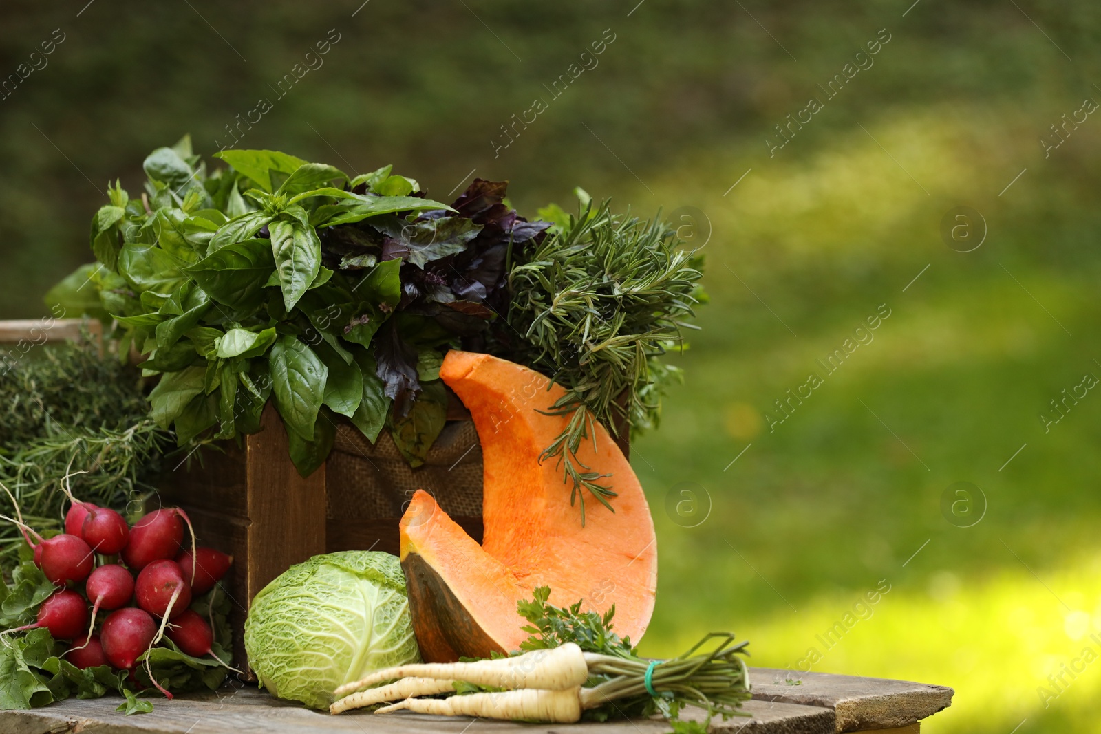 Photo of Different fresh herbs and vegetables on wooden table outdoors, space for text