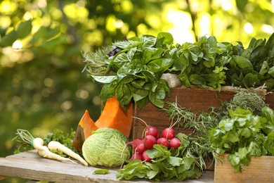 Photo of Different fresh herbs and vegetables on wooden table outdoors