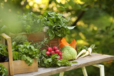 Photo of Different fresh herbs and vegetables on wooden table outdoors