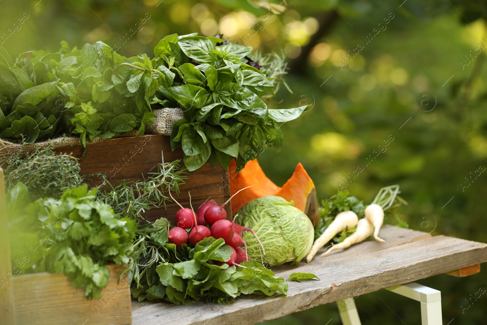 Photo of Different fresh herbs and vegetables on wooden table outdoors